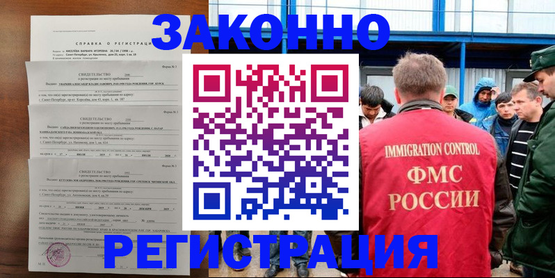 прописка поиск в Коле